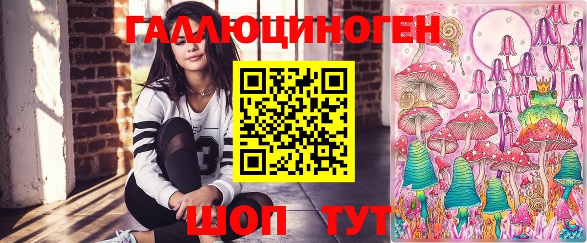 Псилоцибиновые грибы Psilocybe  Вход с VPN  Дербент 
